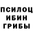 Псилоцибиновые грибы GOLDEN TEACHER Sti Leopard