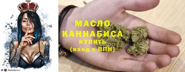 молекула духа Заводоуковск