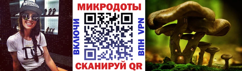 Купить  Богородск  Псилоцибиновые грибы Psilocybe 